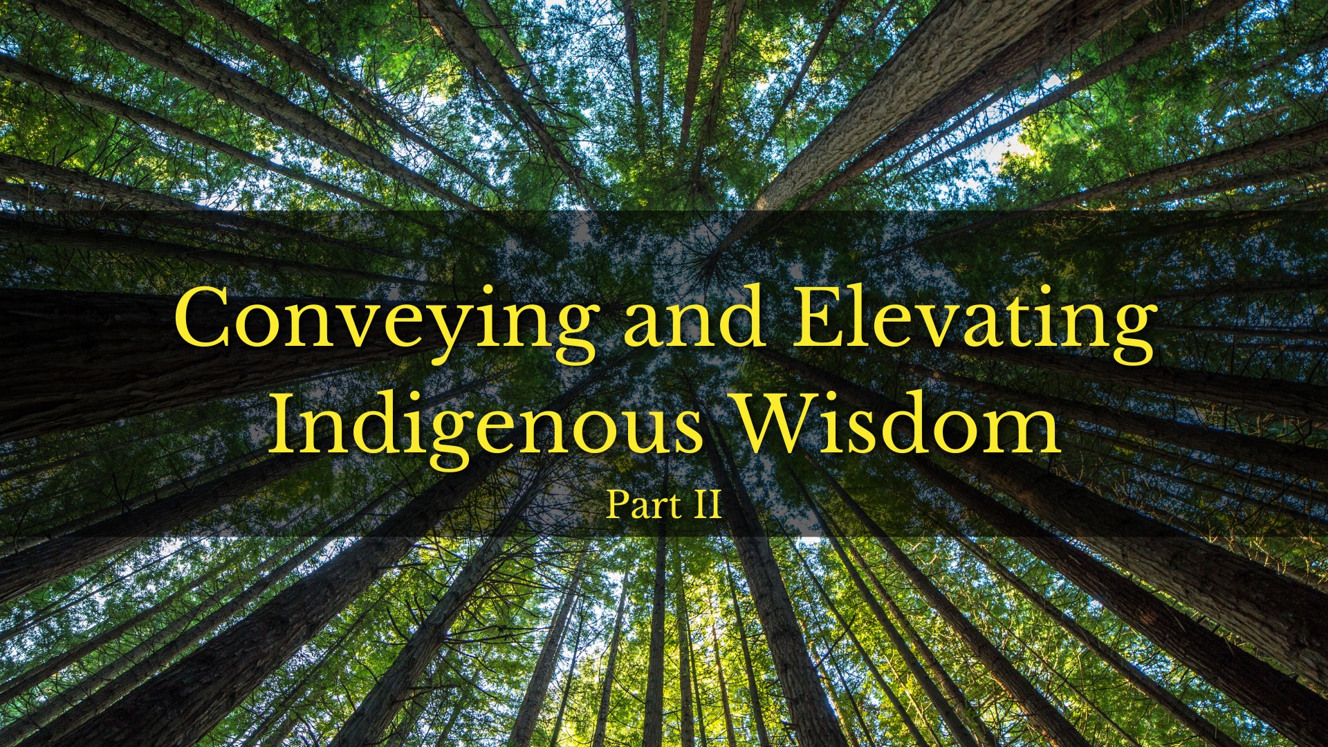 Conveying and Elevating Indigenous Wisdom Part 2 thumbnail