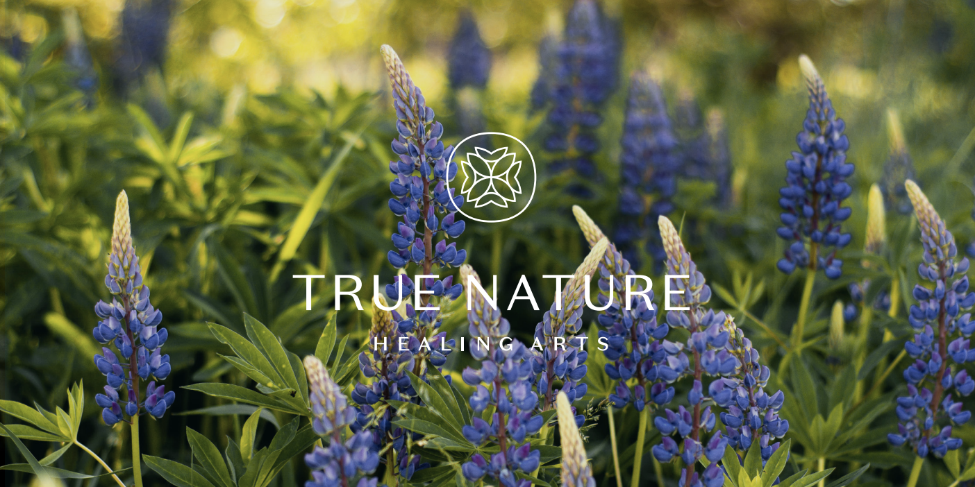 Summer Solstice Celebration at True Nature Healing Arts – Sat. , June 18th thumbnail
