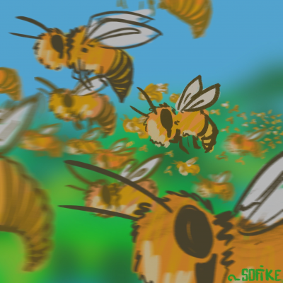 Bee informed: A local pollinator check-up thumbnail
