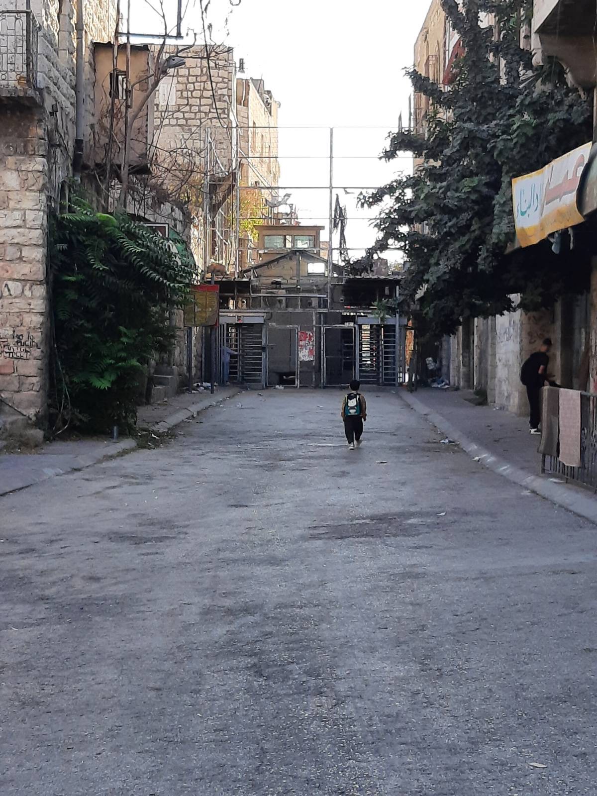 Palestinians’ sumud, a lesson Americans urgently need