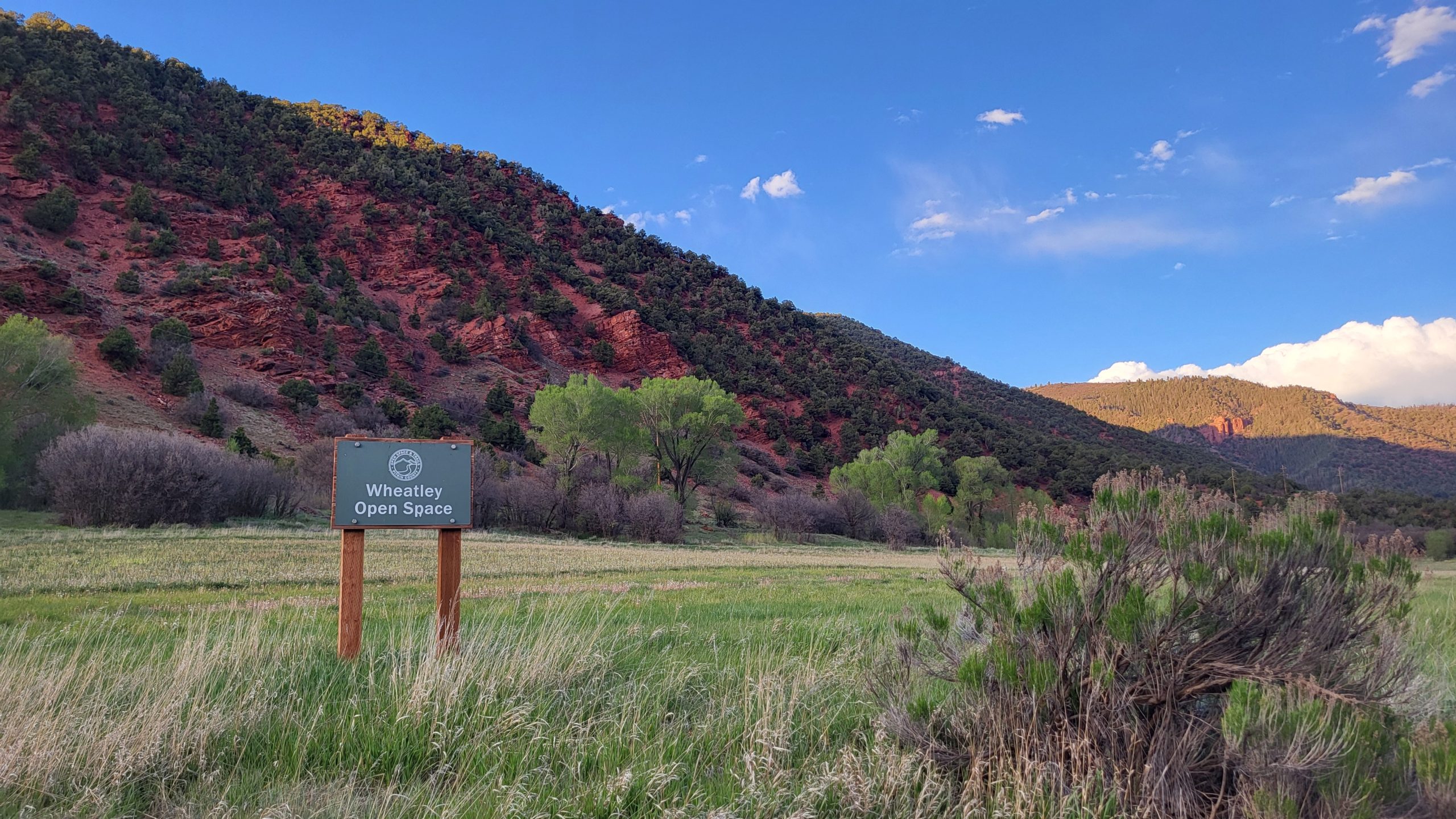 Sowing good roots: Roaring Fork Mill wins awards for local ag work ...